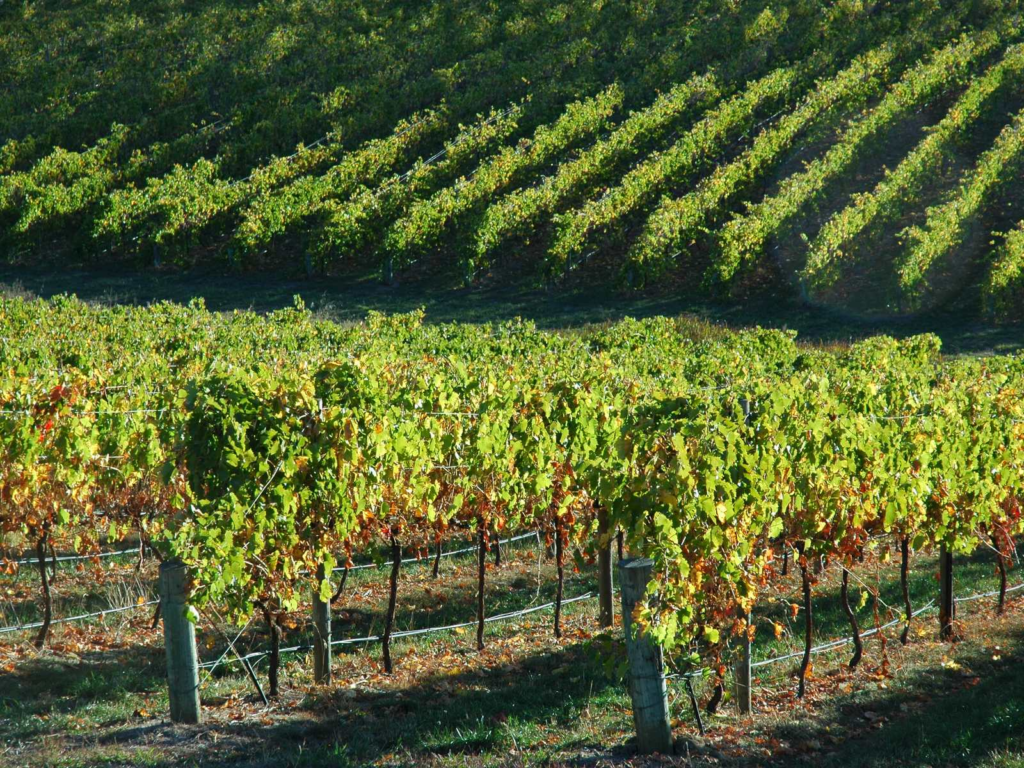 Adelaide Hills