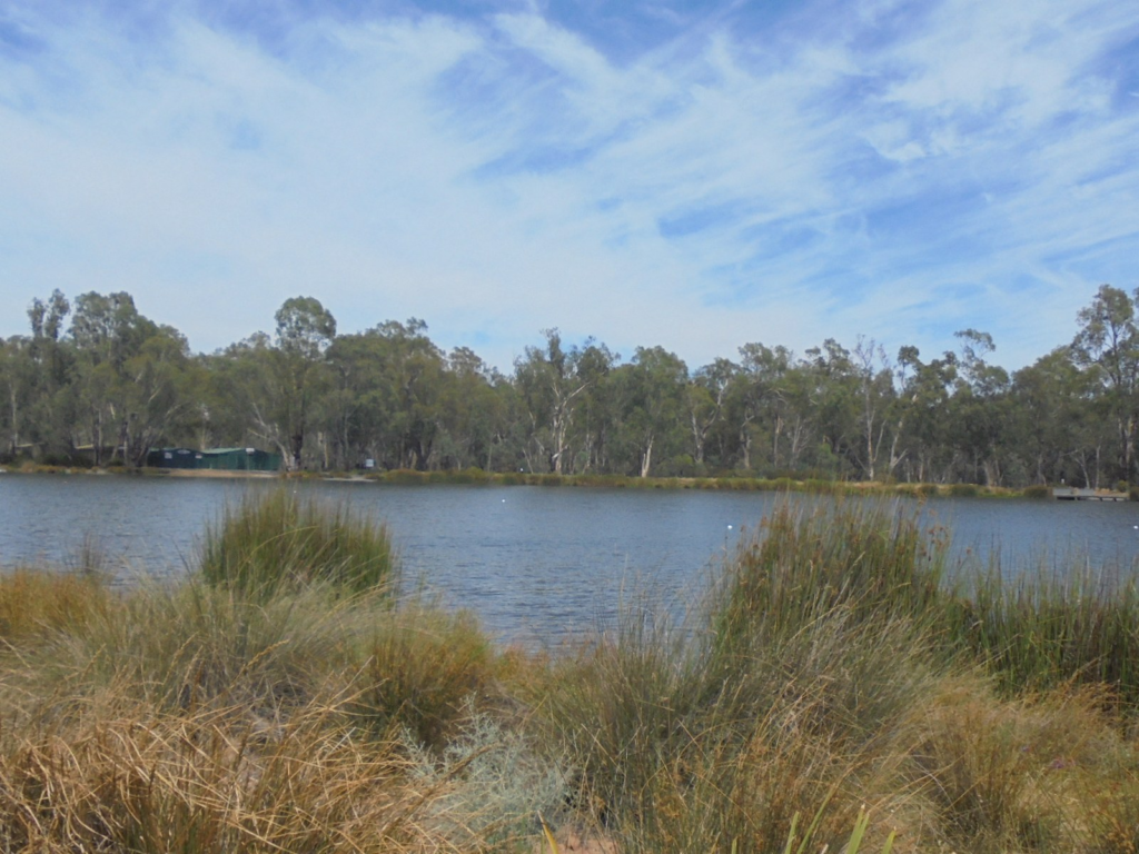 Shepparton